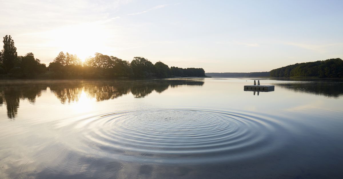 Efecto dominó en los asesores financieros Efecto dominó en los asesores financieros