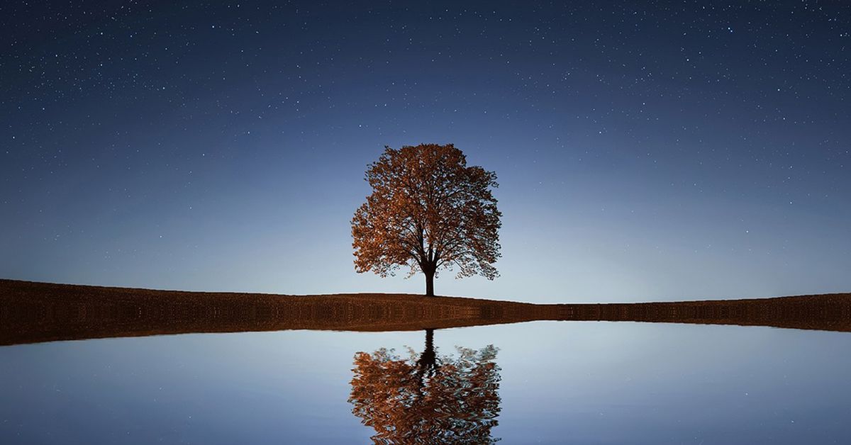 First Mover Asia: Bitcoin, Ether abren la semana comercial de Asia sin cambios First Mover Asia: Bitcoin, Ether abren la semana comercial de Asia sin cambios