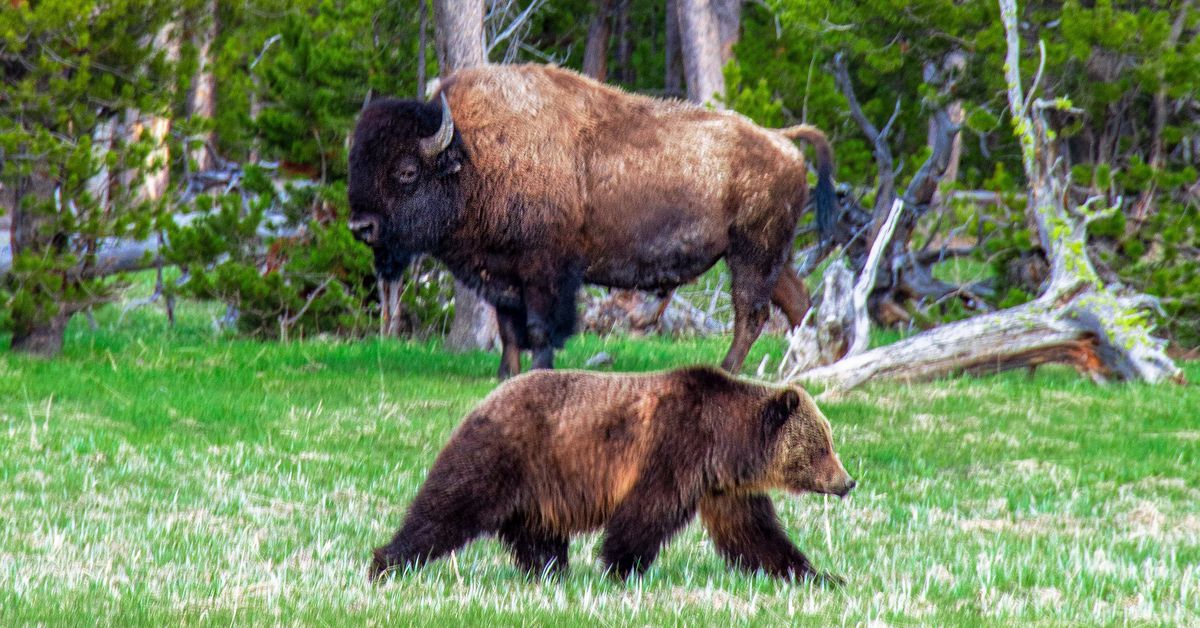 First Mover Asia: ¿Bitcoin pronto comenzará una nueva prueba de 30K? First Mover Asia: ¿Bitcoin pronto comenzará una nueva prueba de 30K?