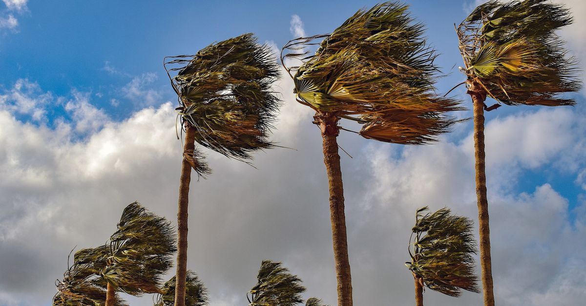 Suministro de BTC y ETH en criptointercambios cayó en junio: Goldman Sachs Suministro de BTC y ETH en criptointercambios cayó en junio: Goldman Sachs