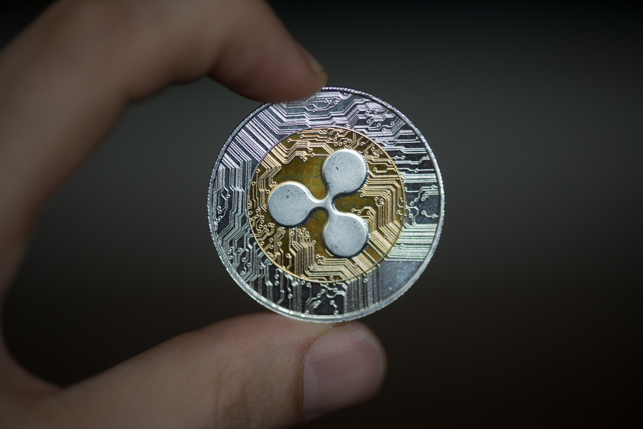 Ripple observa el sector de activos tokenizados, ya que espera que la capitalización de mercado alcance los $ 30 billones Ripple XRP