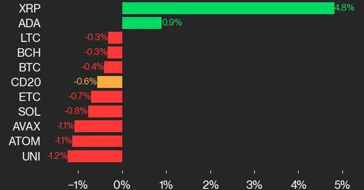 Actualización de rendimiento de CoinDesk 20: XRP avanza en medio de una caída general del índice Search CoinDesk