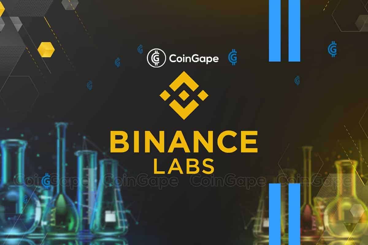 Binance Labs invierte en este protocolo de staking líquido Binance Labs Unveils Major Investment In Cross-Chain Exchange, What's Happening?