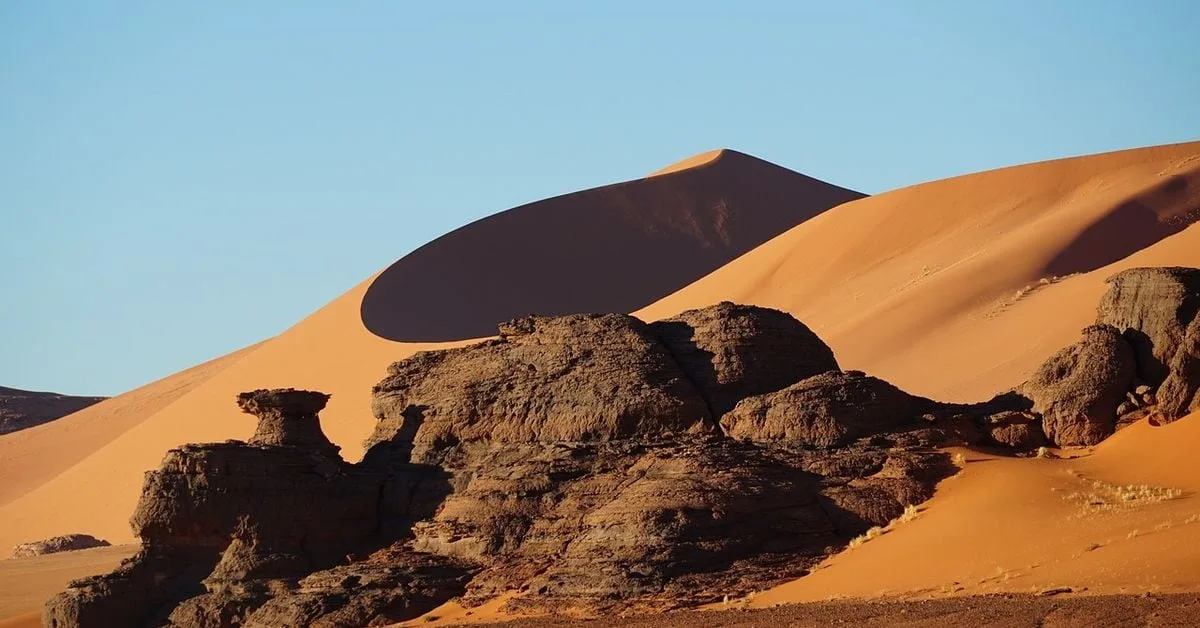 Sahara AI, un proyecto blockchain que aborda los derechos de autor y la privacidad, recauda 43 millones de dólares VolumeMute