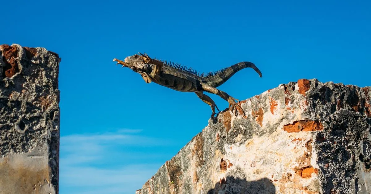 UCOOH6J2BNAODPXKTB6II6PCN4.jpg Shaurya Malwa