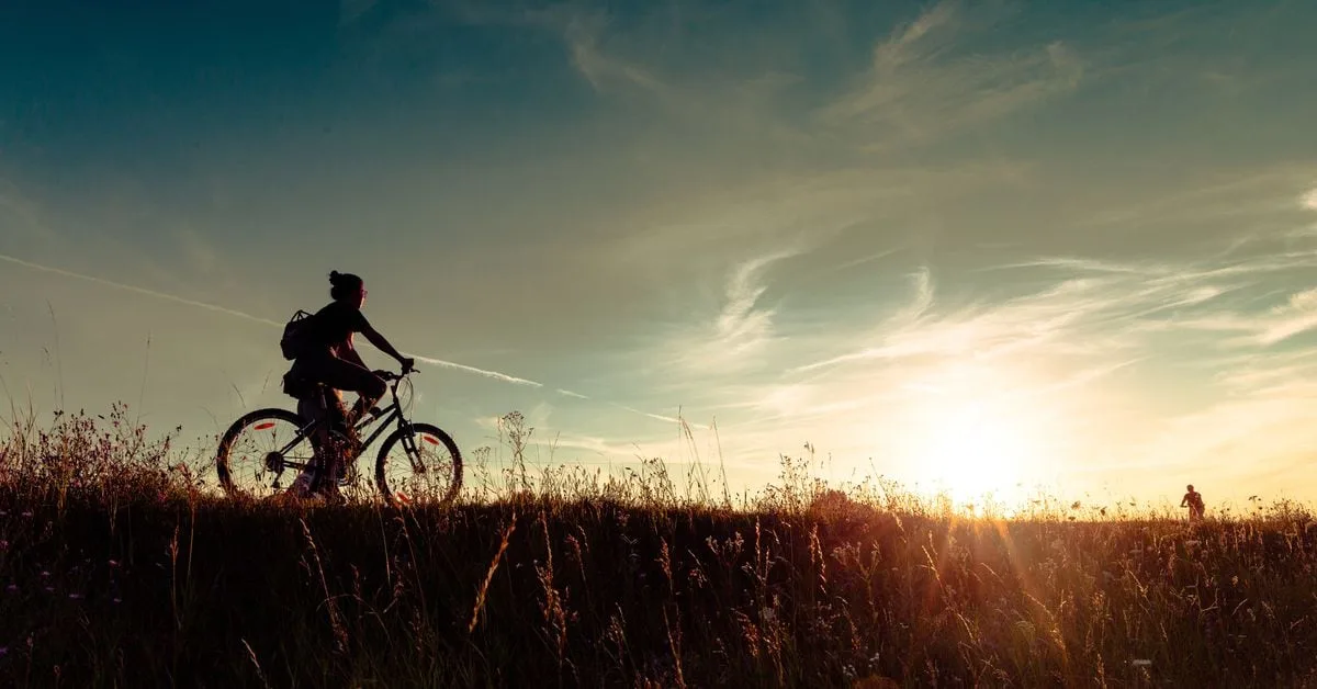 XT7GKD3UKNDYRIONWOPZWV4TYE.jpg Shaurya Malwa