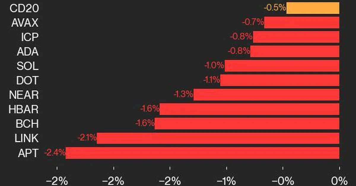Actualización de rendimiento de CoinDesk 20: APT cae un 2,4%, el índice líder cae Search CoinDesk