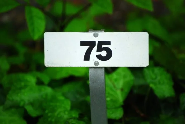 Finix recauda 75 millones de dólares | Finix recauda 75 millones de dólares |