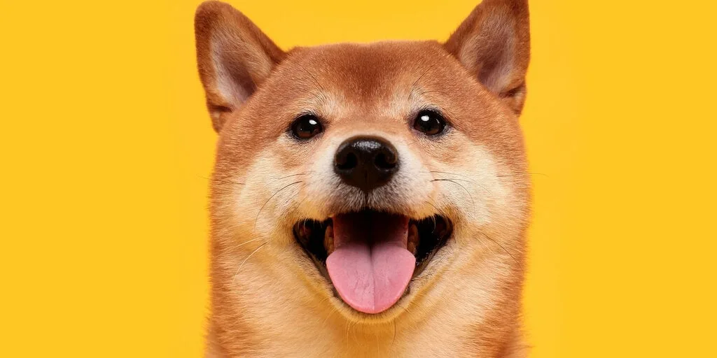 Shiba-Inu-shutterstock_1604677465-16x9-1-gID_7.jpg La plataforma benéfica JustGiving agrega soporte para donaciones de Bitcoin y Dogecoin