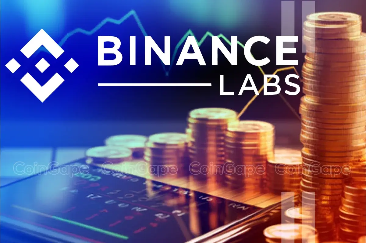 Estos tokens criptográficos caen un 5% en ventas, según se informa por Binance Labs These Crypto Tokens Fall 5% On Selling Reportedly By Binance Labs