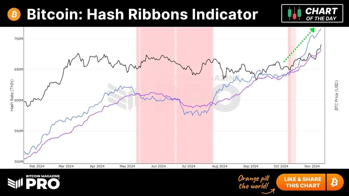 gcl6qfzxsaamxcf.jpg Indicador Bitcoin Hash Ribbons: los mineros muestran un optimismo inquebrantable a medida que la tasa de hash alcanza nuevos máximos