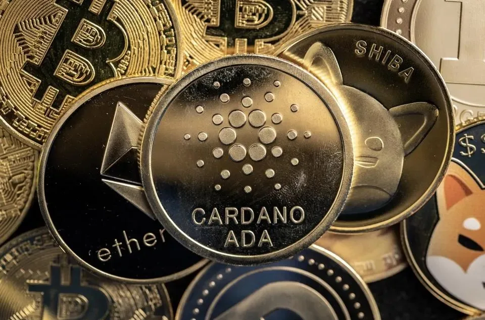 a_953b63.jpg Cardano