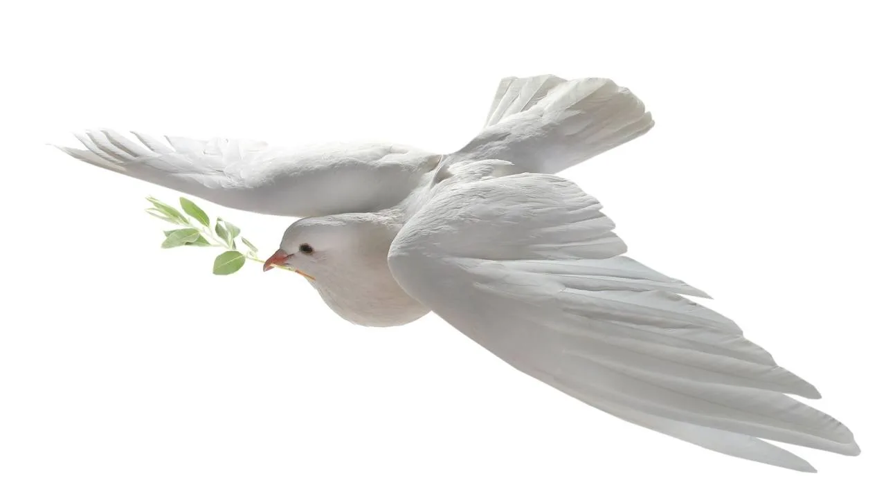 shutterstock_283207676.jpg El zar de Trump proclama el fin del