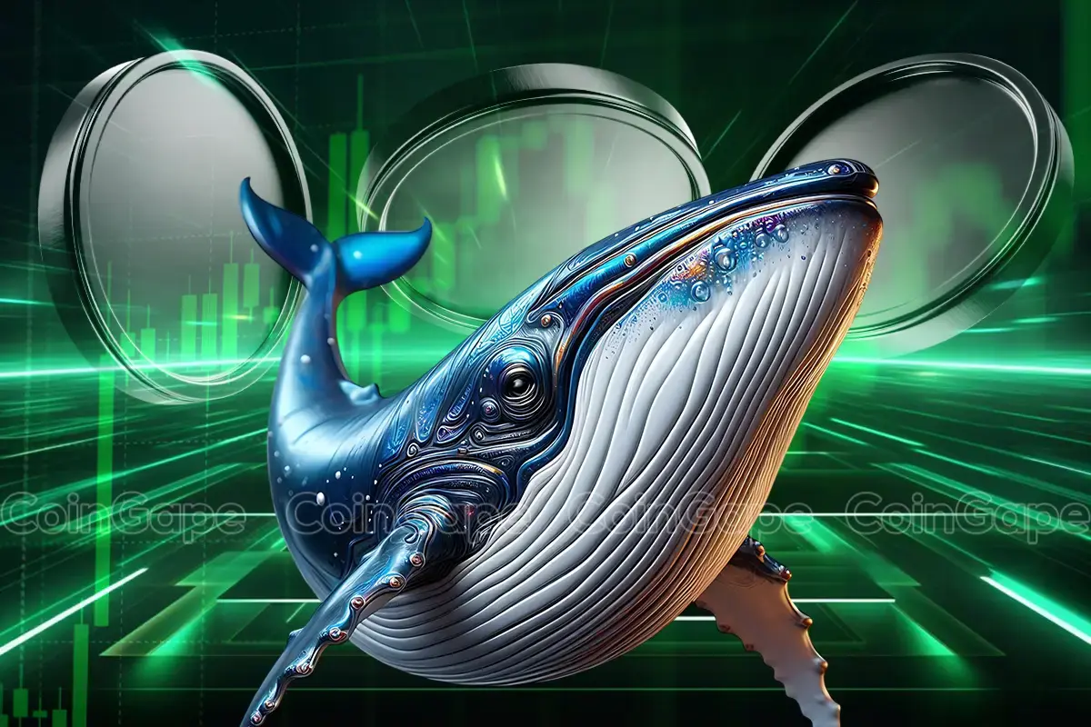 Las ballenas criptográficas nunca vendieron estas 3 altcoins Las ballenas criptográficas nunca vendieron estas 3 altcoins