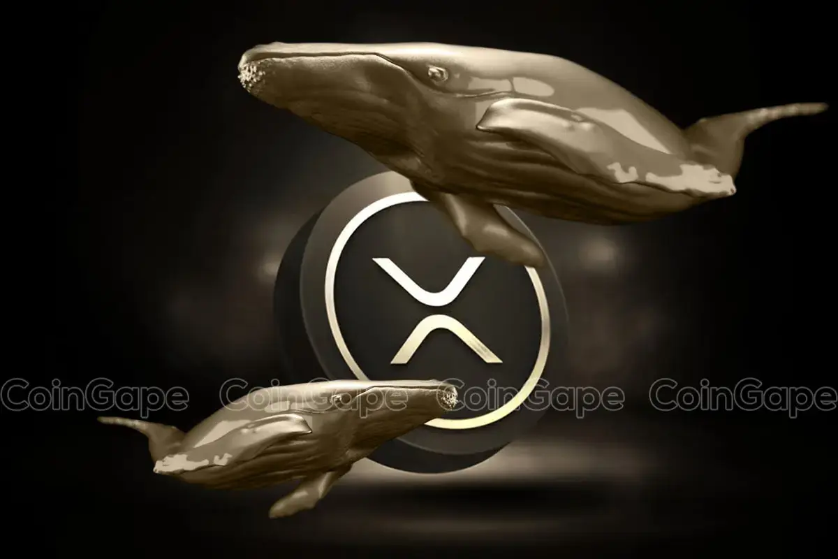 Las ballenas onduladas se mueven $ 782 millones a medida que las hojas alimentadas tasa sin cambios XRP News: Ripple Whales Moves $782M As Fed Leaves Rate Unchanged