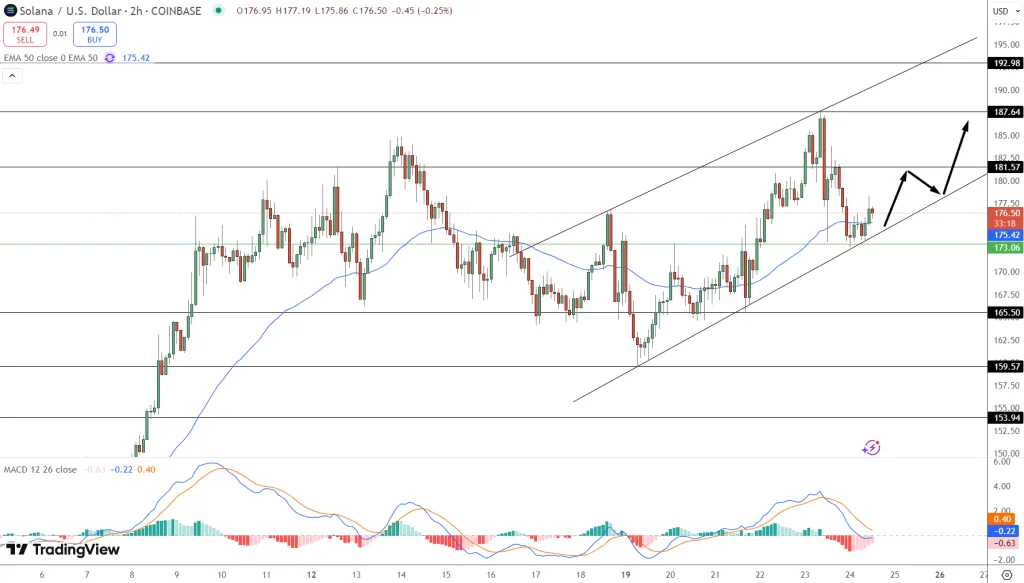 Predicción de precios de Solana: suelo rosa a $ 176.40: ¿puede superar este L1 como ETH y BTC ganar terreno? Predicción de precios de Solana: suelo rosa a $ 176.40: ¿puede superar este L1 como ETH y BTC ganar terreno?
