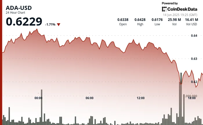 Los lanzamientos de la Fundación Cardano provienen del crecimiento de la compañía CoinDesk News Image