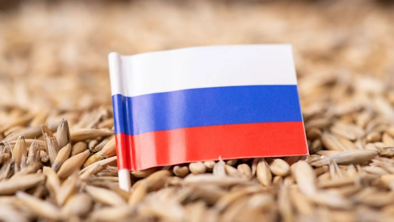 Rusia considera la criptografía para resolver las exportaciones de granos Rusia considera la criptografía para resolver las exportaciones de granos